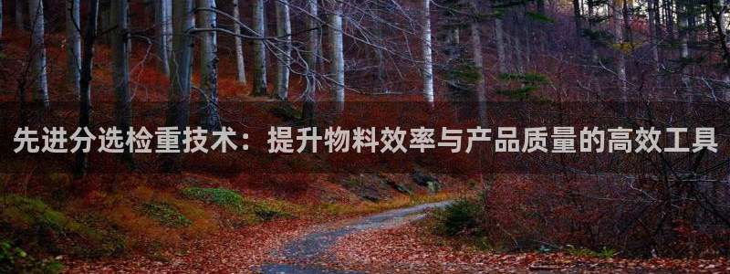 威九国际网站是多少