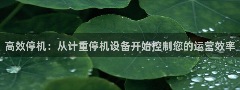 威九国际留学