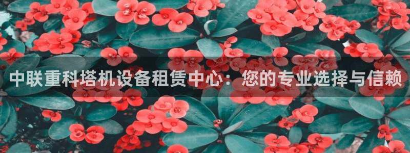威九国际官网在线进入网站查询
