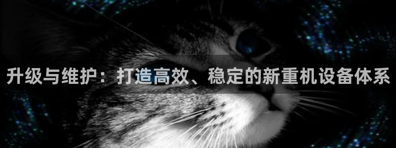 威九国际AN