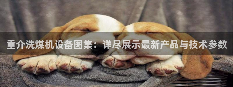 威九国际观看