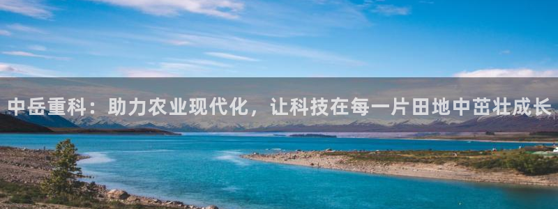 威九国际app入口官网