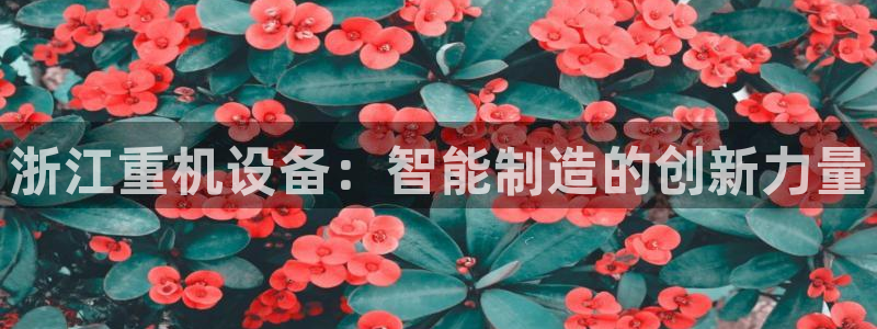 威九国际网站客服电话多少号码