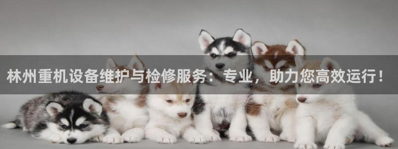 威九国际哪国的