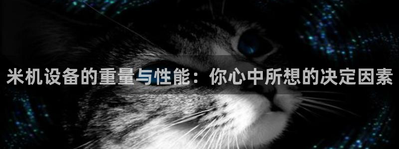 威九国际app