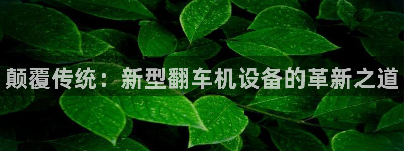 威九国际空降服务女演员名字