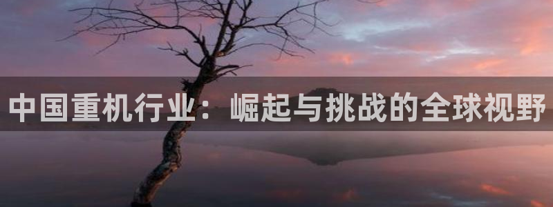 威九国际抡里