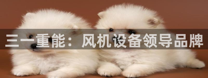 威九国际真人游戏