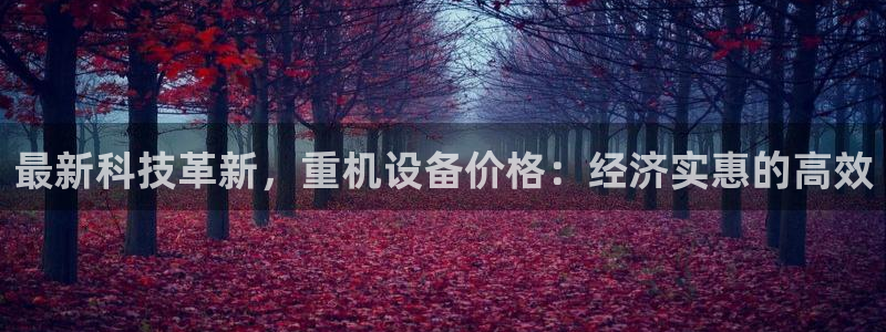 威九国际网站人入口：最新科技革新，重机设备价格：经济实惠的高