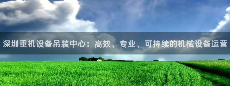 威九国际网站入口官网首页：深圳重机设备吊装中心：高效、专业、