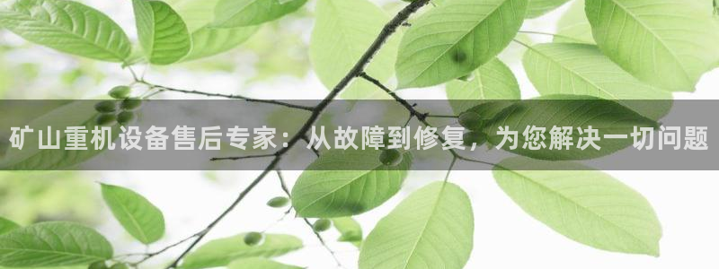 威九国际客服电话是多少：矿山重机设备售后专家：从故障到修复，