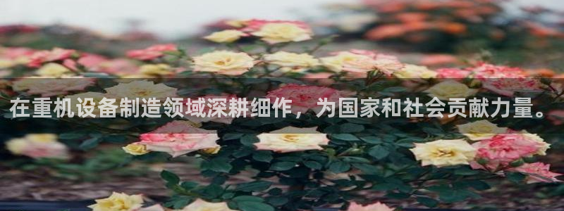 威九国际旗下艺人都有谁：在重机设备制造领域深耕细作，为国家和