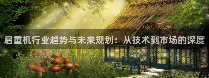 威九国际在线平台怎么样啊：启重机行业趋势与未来规划：从技术到