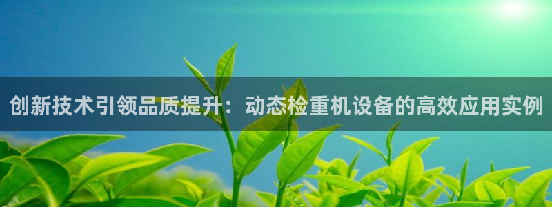 威九国际78mb下：创新技术引领品质提升：动态检重机设备的高