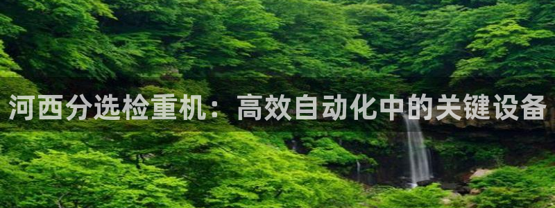 威九国际演员名单：河西分选检重机：高效自动化中的关键设备