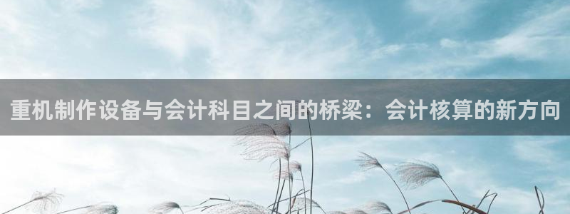 威九国际新：重机制作设备与会计科目之间的桥梁：会计核算的新方