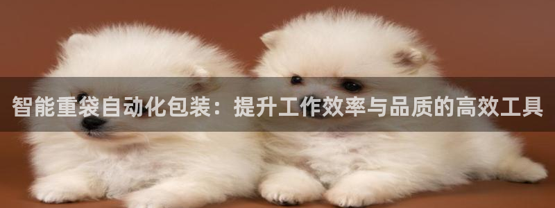 威九国际网站入口官网首页：智能重袋自动化包装：提升工作效率与