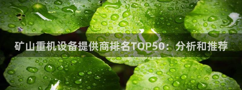 威九国际官方网站最新版本更新内容介绍：矿山重机设备提供商排名