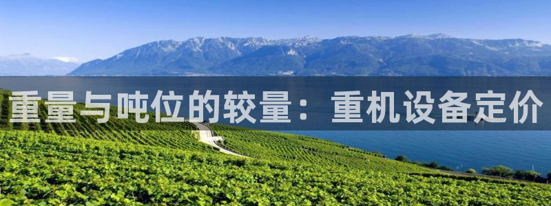 威九国际取款不会被骗吧是真的吗：重量与吨位的较量：重机设备定