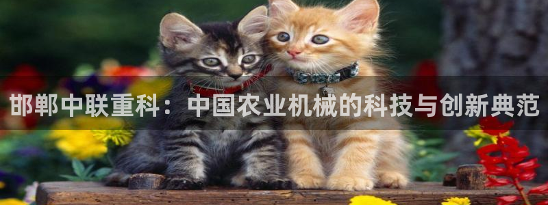 威九国际78mb官网版