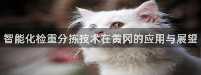 威九国际视频传媒招聘：智能化检重分拣技术在黄冈的应用与展望