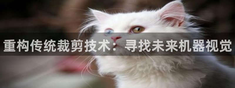 威九国际清砖码头怎么样