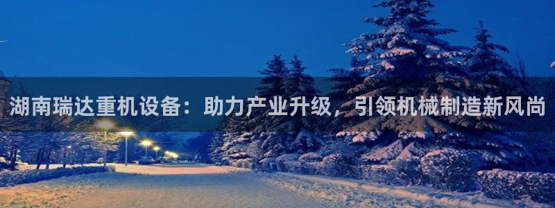 威九国际网站进入产品分类：湖南瑞达重机设备：助力产业升级，引