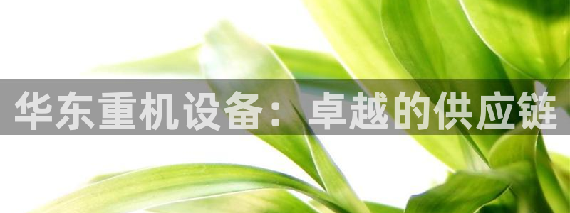 威九国际天美：华东重机设备：卓越的供应链