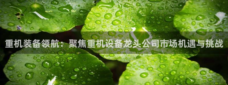 威九国际取款多到账：重机装备领航：聚焦重机设备龙头公司市场机