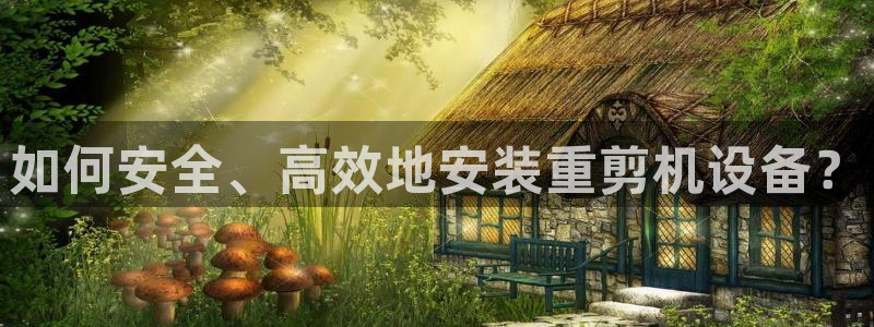 威九国际78：如何安全、高效地安装重剪机设备？