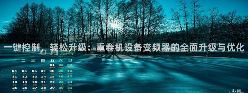 威九国际H