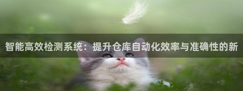 威九国际可以退钱吗怎么退款：智能高效检测系统：提升仓库自动化