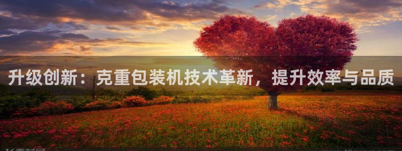 威九国际电子有限公司