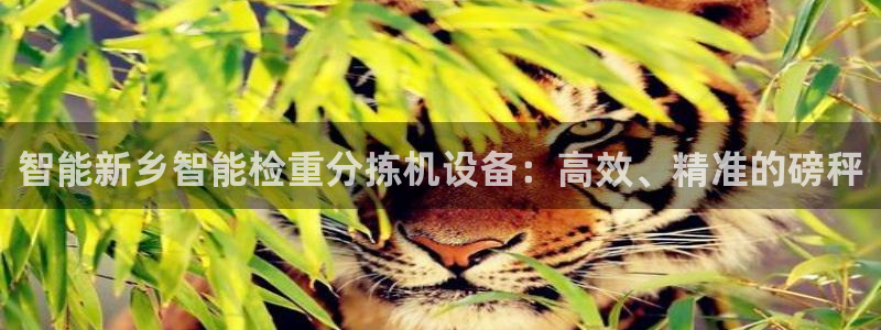威九国际在哪里