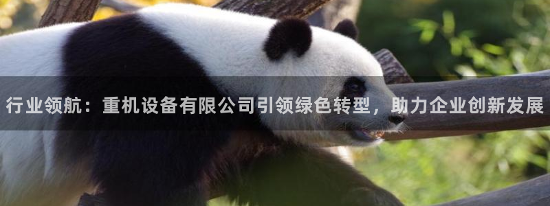 威九国际66cm：行业领航：重机设备有限公司引领绿色转型，助