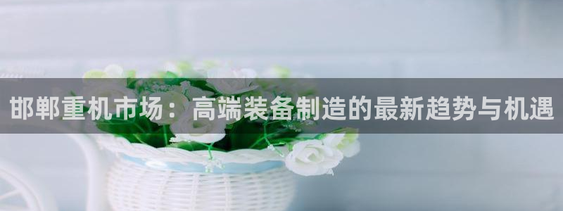威九国际网站经常打不开：邯郸重机市场：高端装备制造的最新趋势