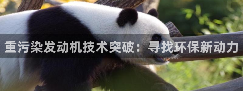 威九国际网站进入产品中心怎么进