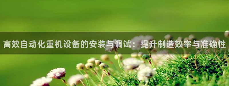 威九国际软件公司简介