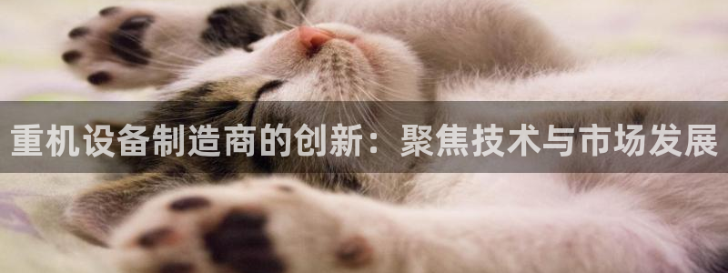 威九国际取款不会被骗吧是真的吗：重机设备制造商的创新：聚焦技