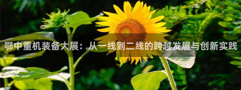 威九国际官方网站最新版本更新内容介绍：鄂中重机装备大展：从一