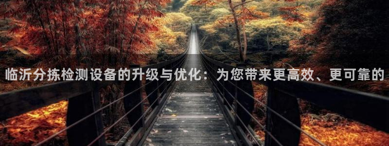 威九国际AN：临沂分拣检测设备的升级与优化：为您带来更高效、