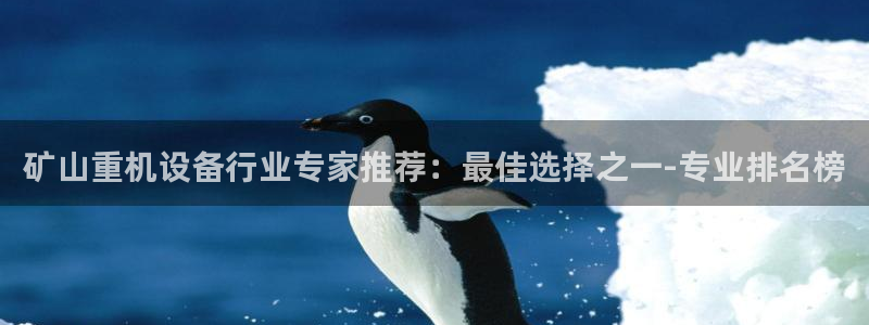 威九国际AN