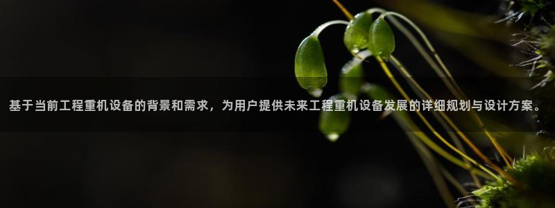 威九国际top