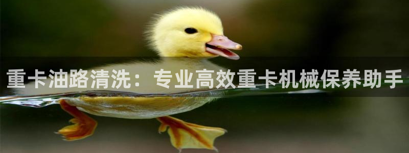 威九国际top