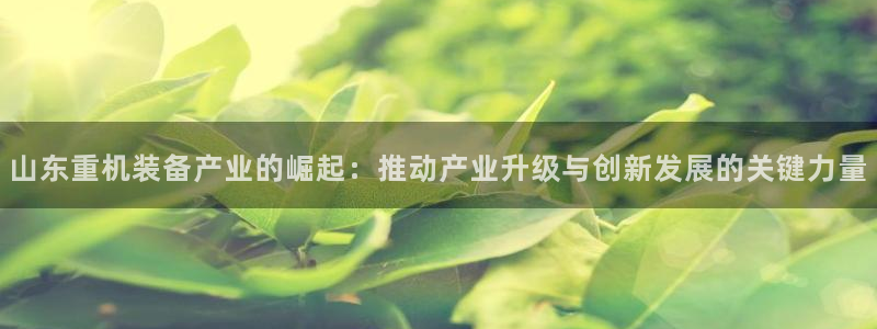 威九国际软件