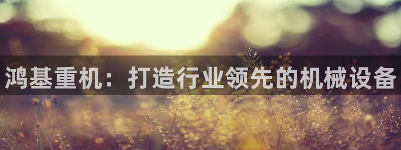 威九国际的金融服务怎么样：鸿基重机：打造行业领先的机械设备