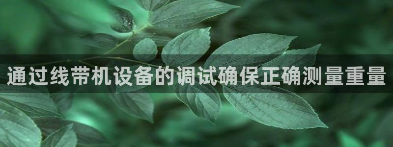 威九国际v96bet下载