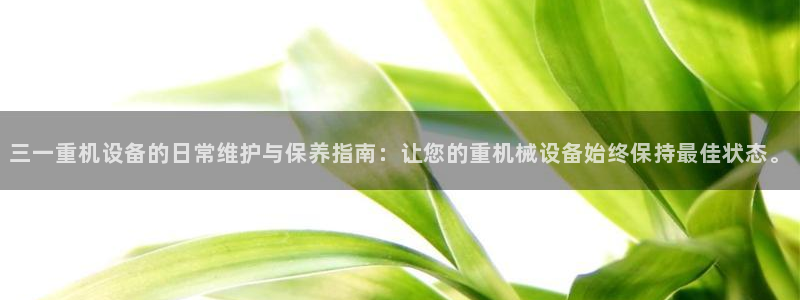 威九国际空降