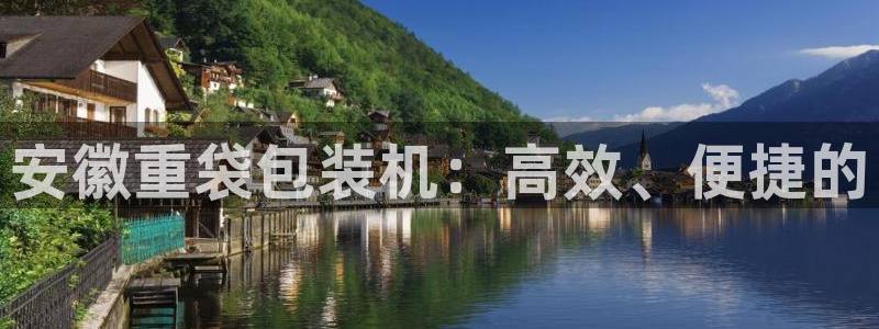 威九国际app下载：安徽重袋包装机：高效、便捷的