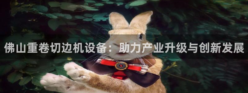 威九国际瘫痪丈夫眼见证：佛山重卷切边机设备：助力产业升级与创
